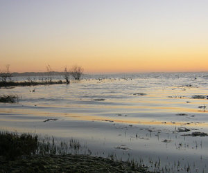 Investment in Integrated Catchment Management Promotes Sustainable Estuaries